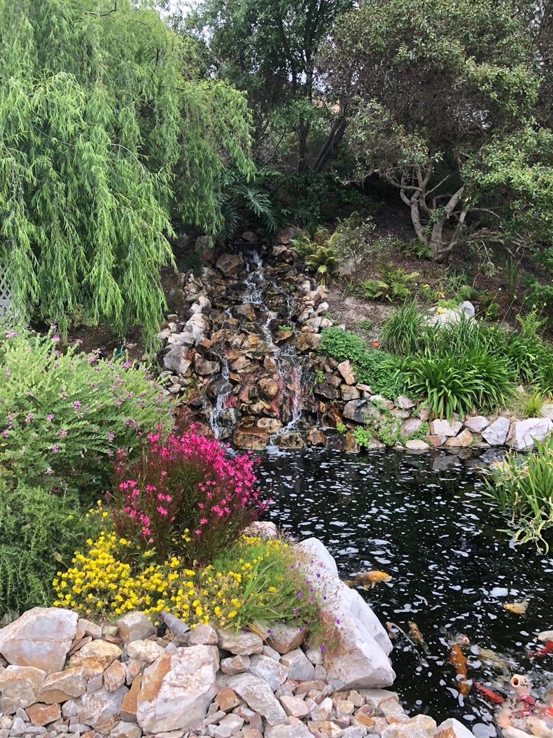 Rock waterfall garden feature with flowers